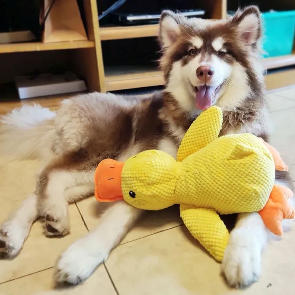 Calming Duck Plush Toy For Dogs – Anxiety Relief & Comfort Toy
