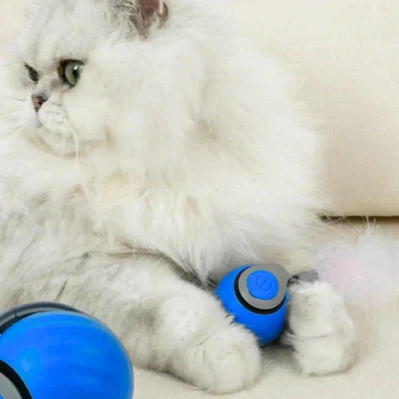 Interactive Rechargeable Cat Toy Ball