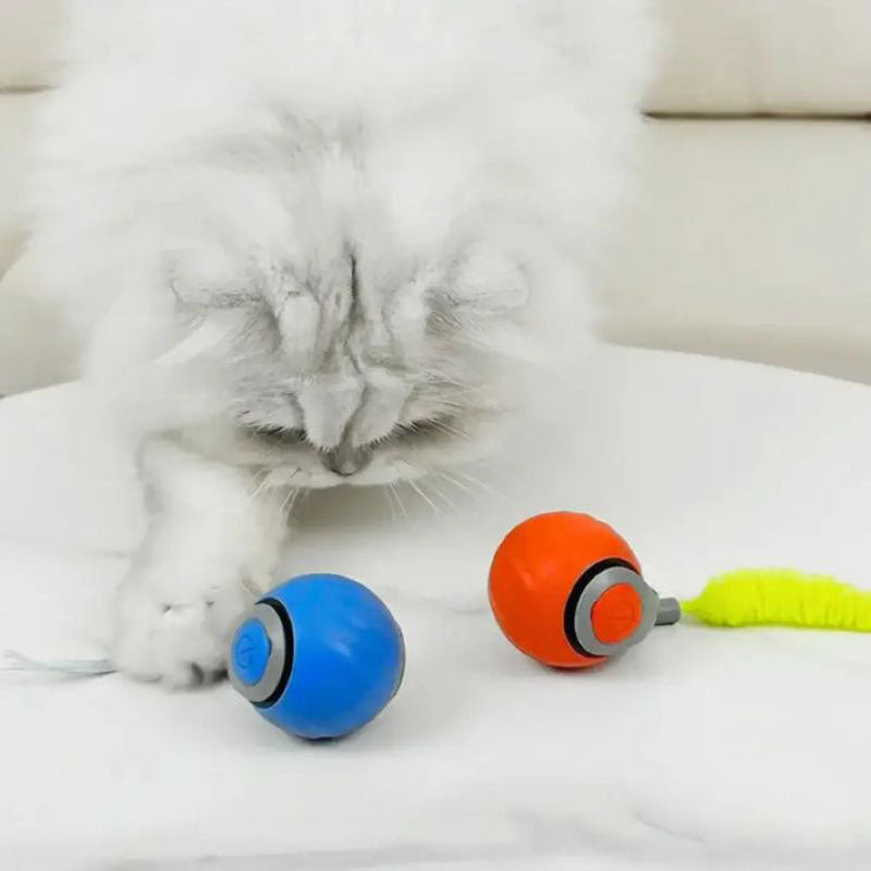 Interactive Rechargeable Cat Toy Ball
