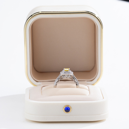 MissDiamond Lab Grown Diamond 0.605CT  VS2 Platinum Halo Ring MSR-1428