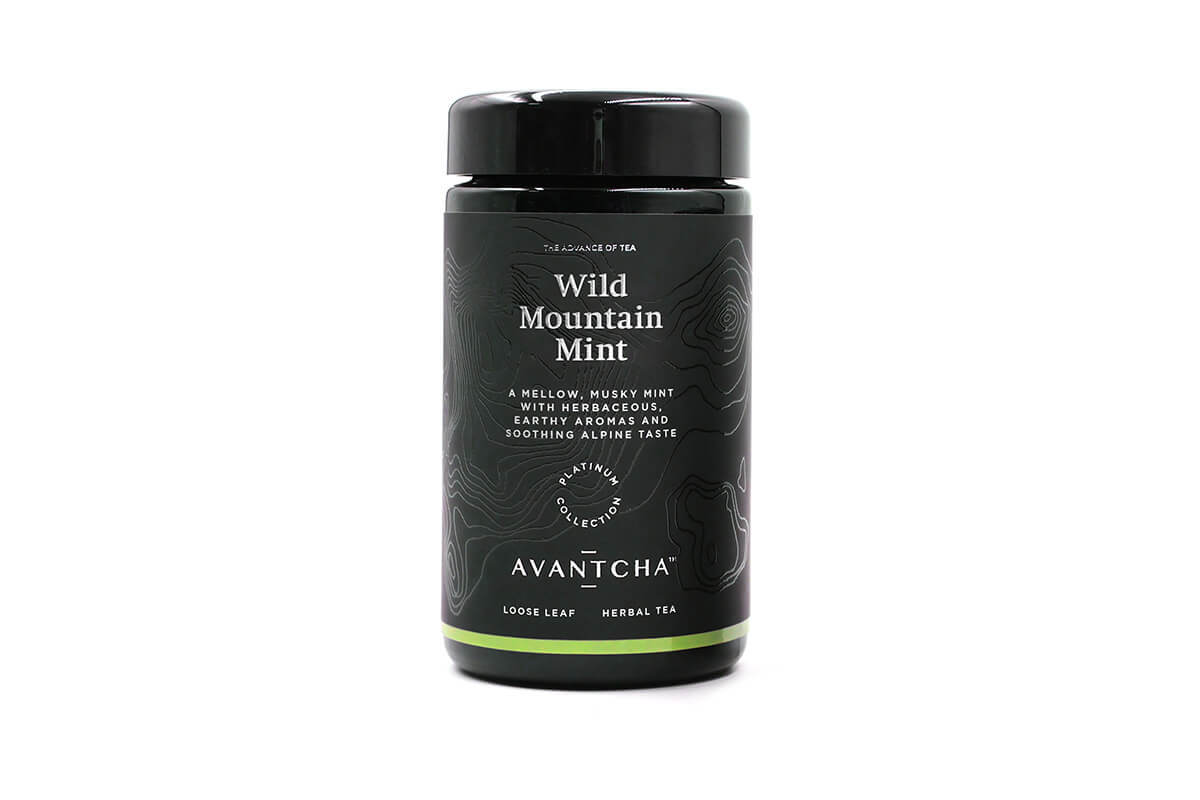 Wild Mountain Mint
