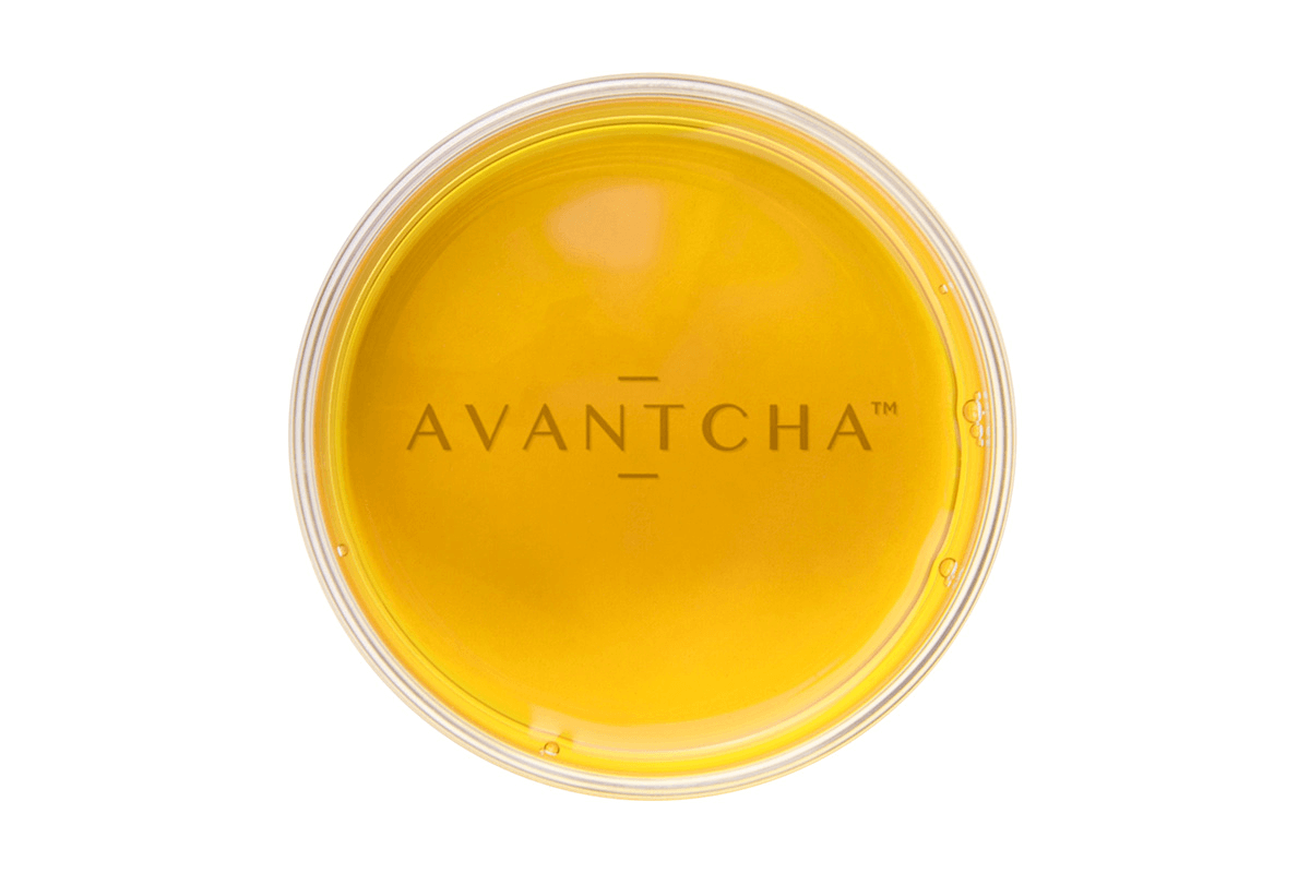 An infusion of Spring Royal Keemun loose tea