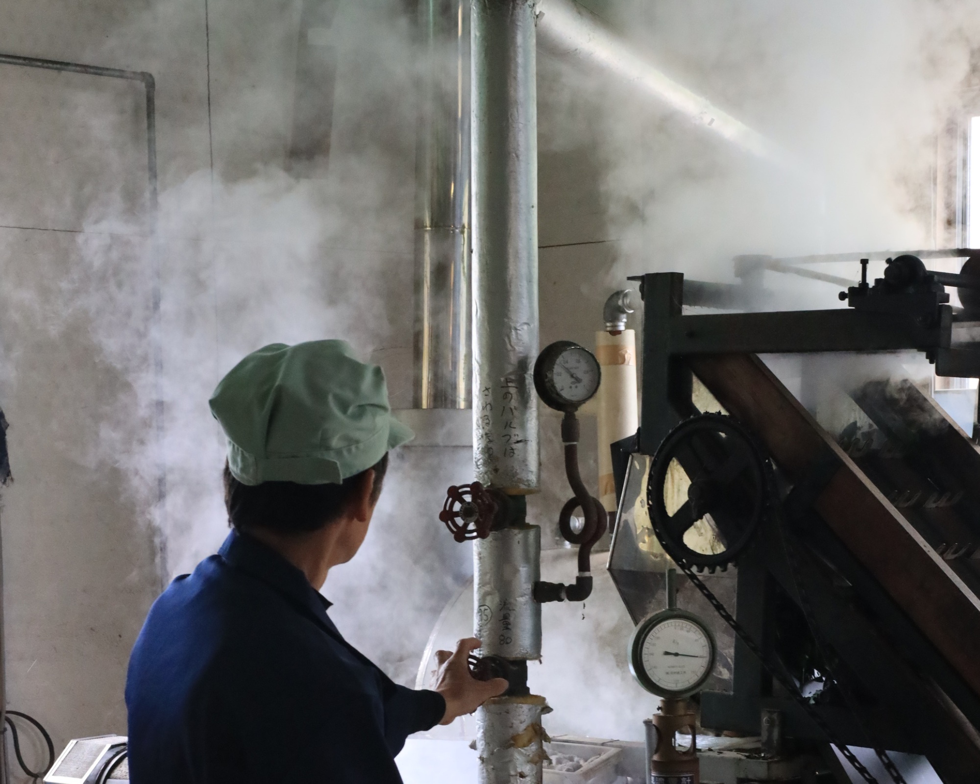 Japanese green tea being steamed