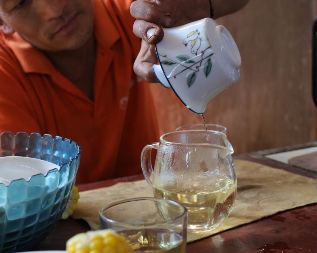 Drinking wild camellia taliensis in China. 