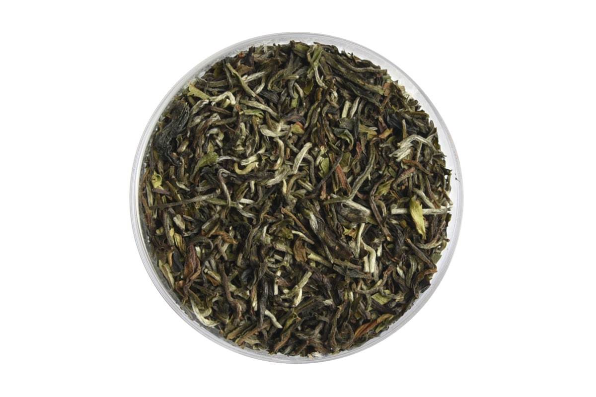 Darjeeling Spring Singell