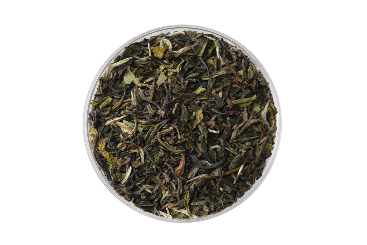 Darjeeling Spring Selimbong