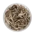 WHITE TEA menu image