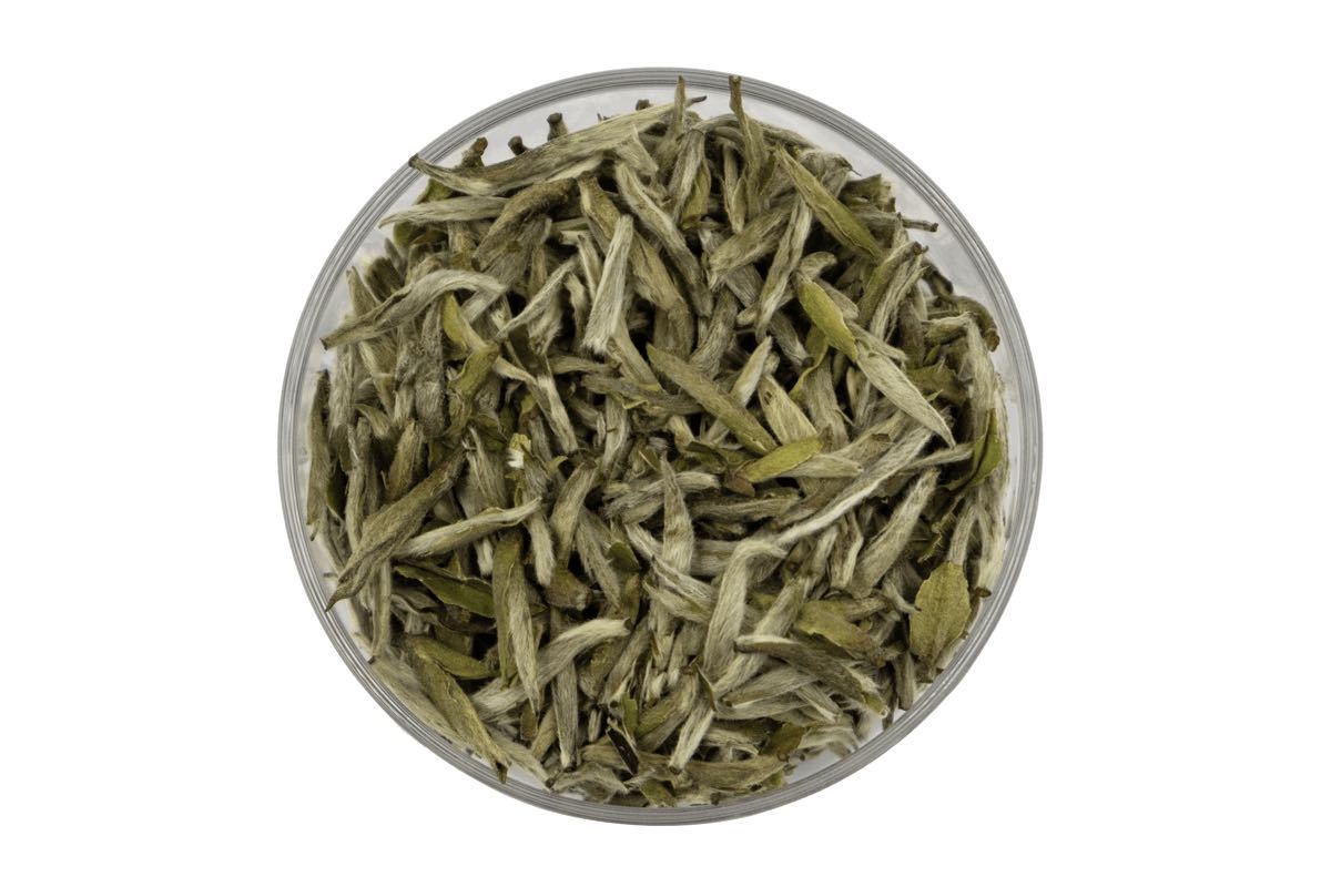 Fuding Bai Hao Yin Zhen