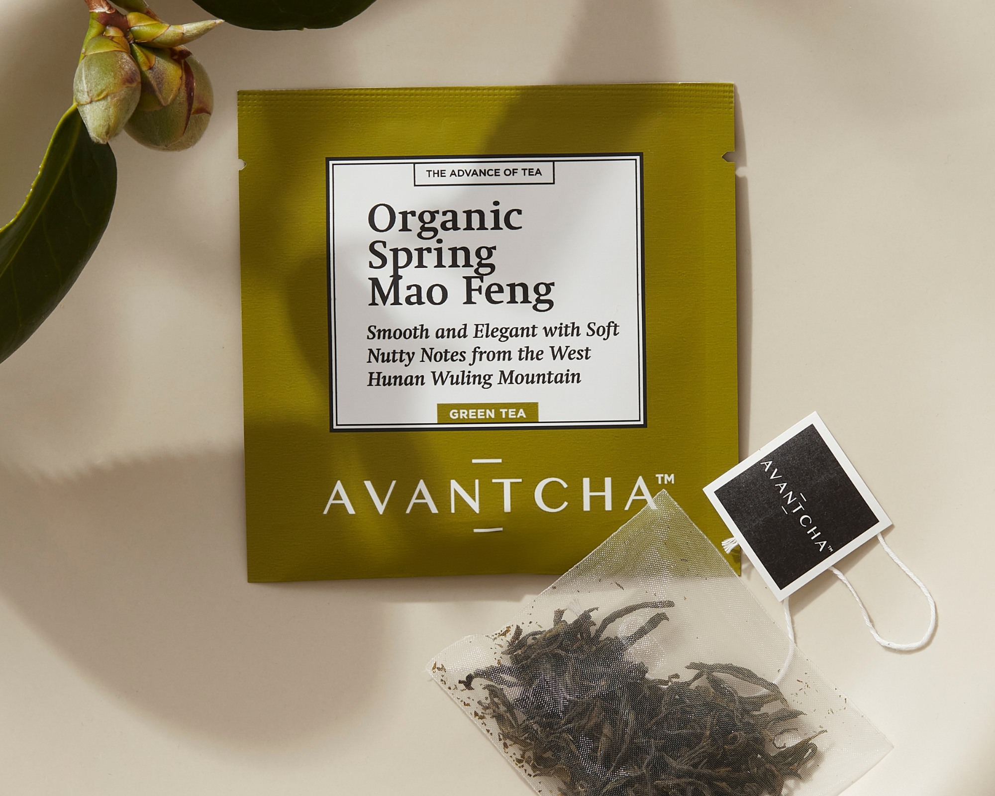 best green tea teabags online