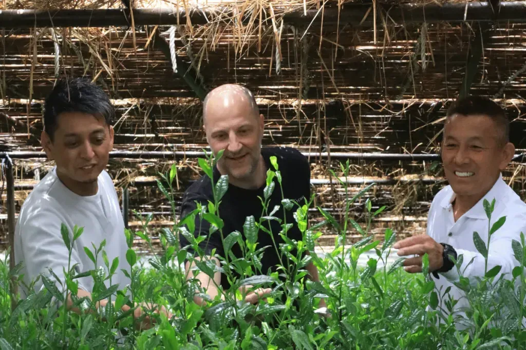 AVANTCHA founder Markus in Japanese tea gardens in Uji looking for best Matcha in Uji
