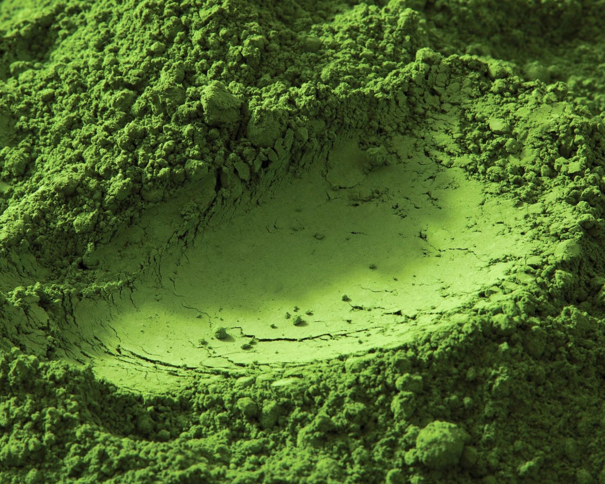 Is Matcha green tea? What's the difference?