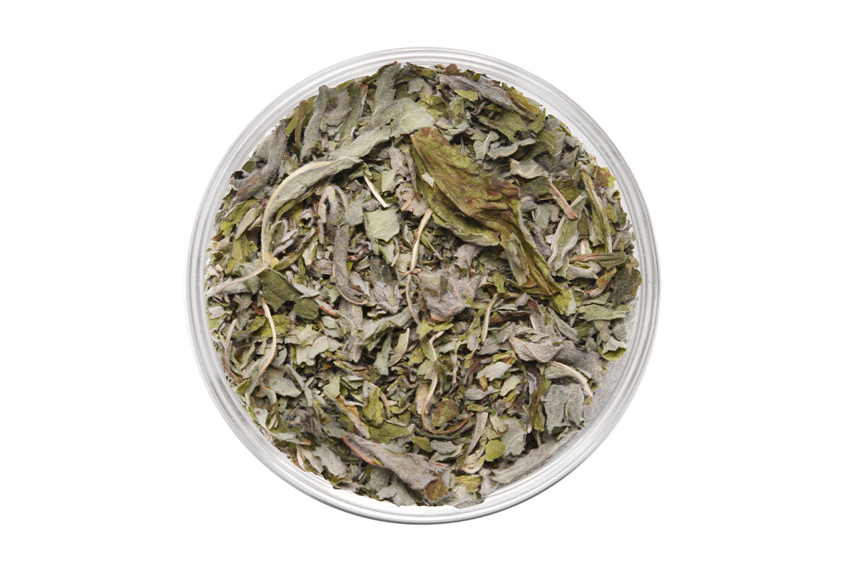 Wild Mountain Mint