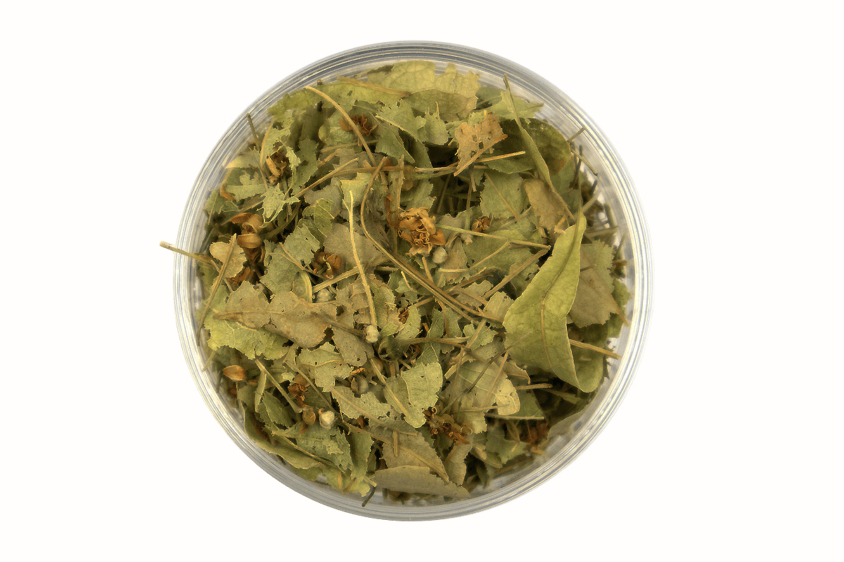 Wild Linden Blossoms