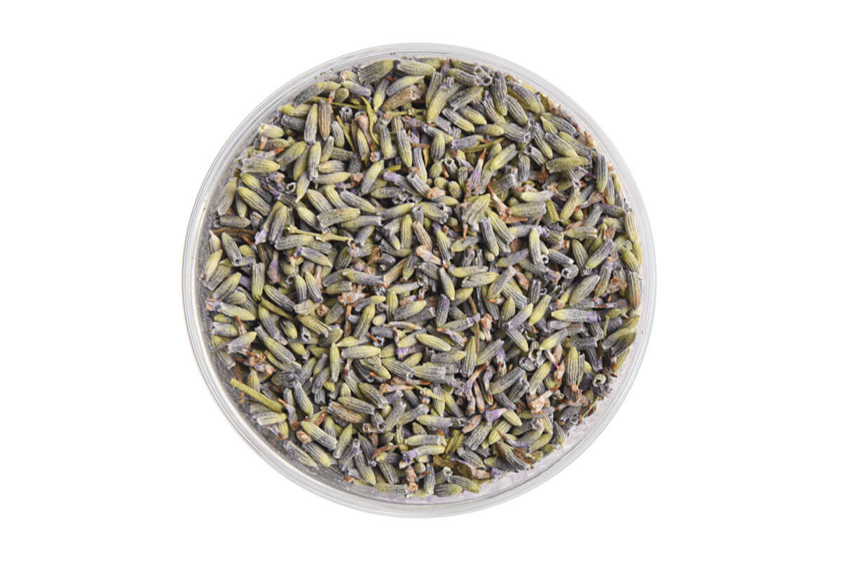 Lavender Blossoms