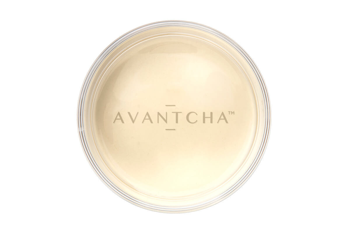 Brewed Milk Oolong tea in a cup, showcasing golden-amber colour with creamy vanilla aroma