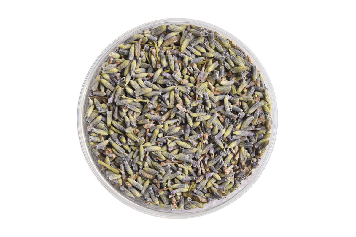 French Lavender Blossoms