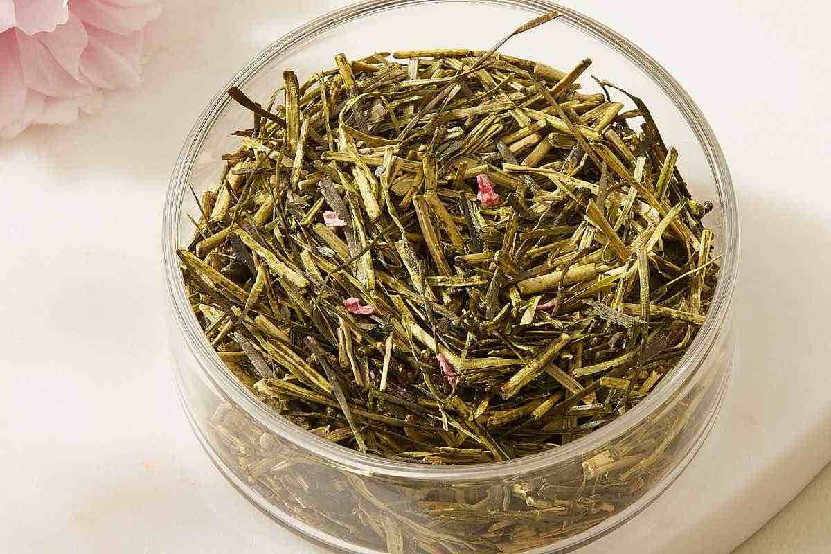 Japanese Sakura Iri Kukicha