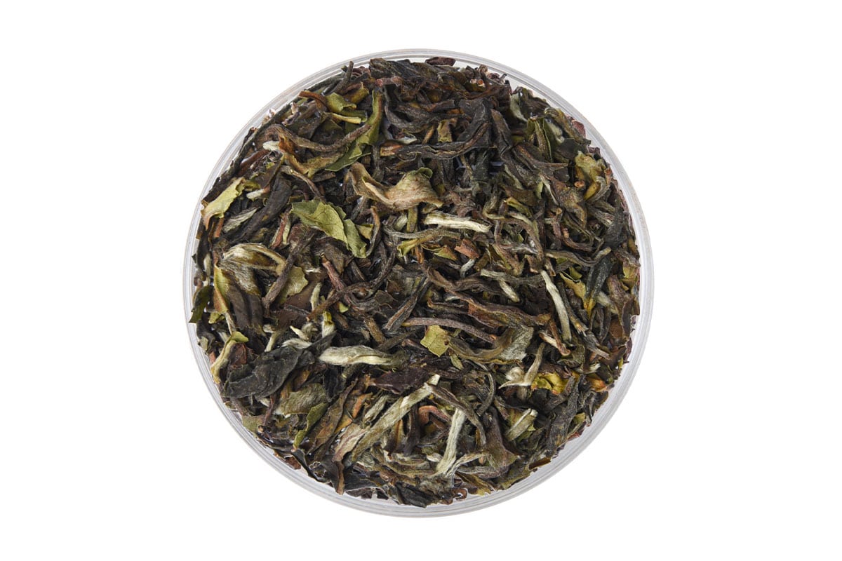 Darjeeling Spring Seeyok