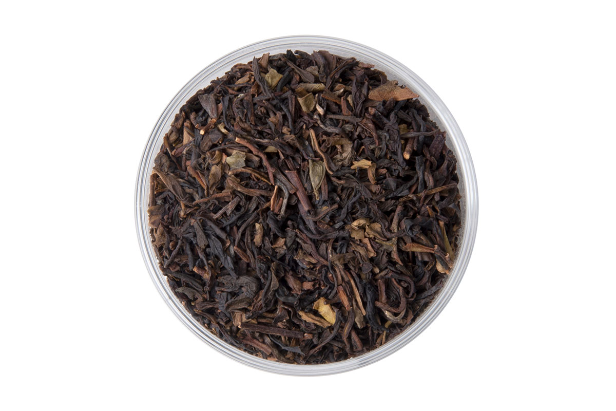 Vanilla Excelsior