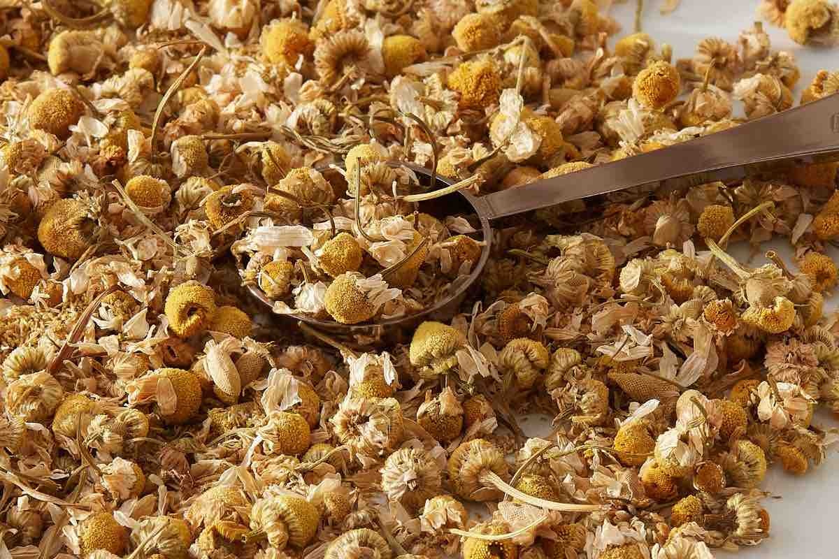 Organic Chamomile Blossoms