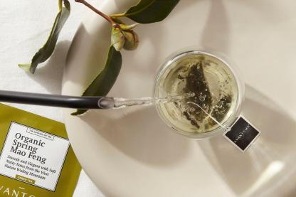 Organic Spring Mao Feng Silk Teabags