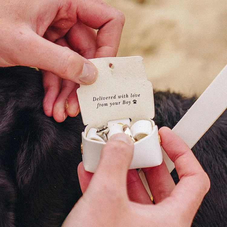 Personalised Wedding Ring Bearer Pouch For Dogs