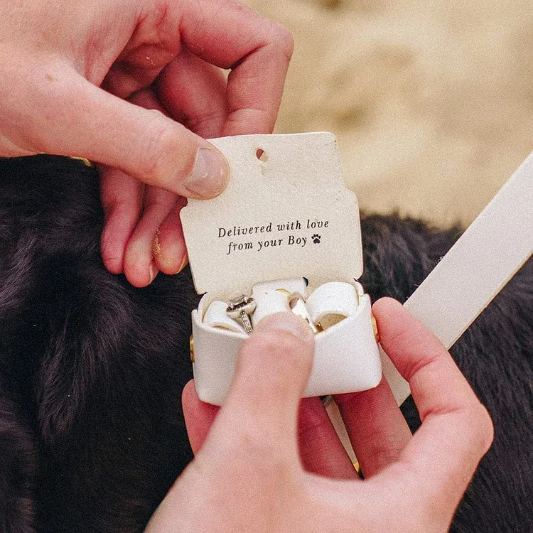 Personalised Wedding Ring Bearer Pouch For Dogs