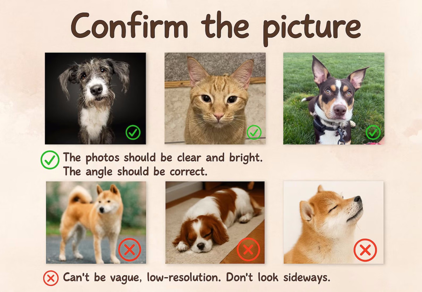 Custom Dog Hoodie Embroidered Dog Name, Personalized Pet Face Sweatshirt, Varsity Style Hoodie