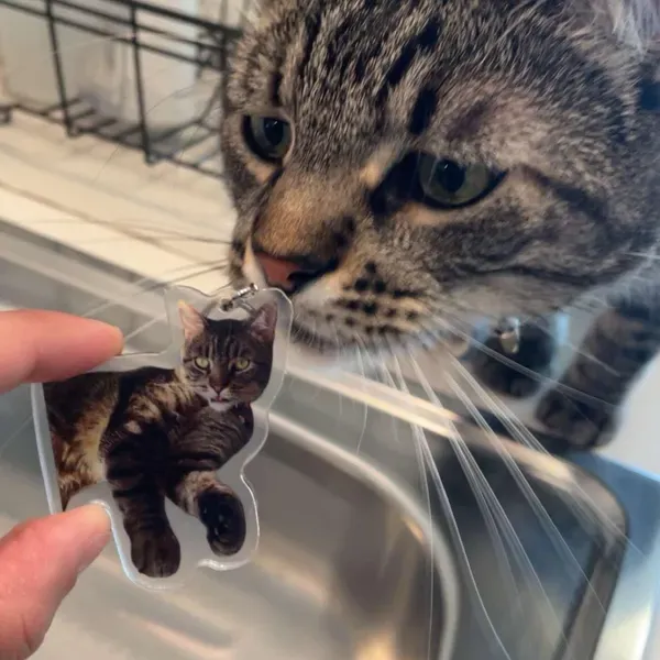 Custom Cat Keychain, Pet Portrait Keychain, Personalized Pet Photo Keychain, Cat Memorial Gift, Holiday Gift for Pet Lovers, Dog Keychain