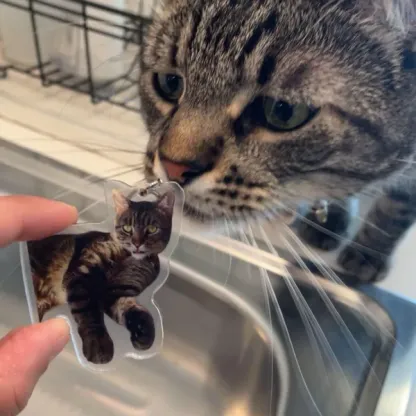 Custom Cat Keychain, Pet Portrait Keychain, Personalized Pet Photo Keychain, Cat Memorial Gift, Holiday Gift for Pet Lovers, Dog Keychain