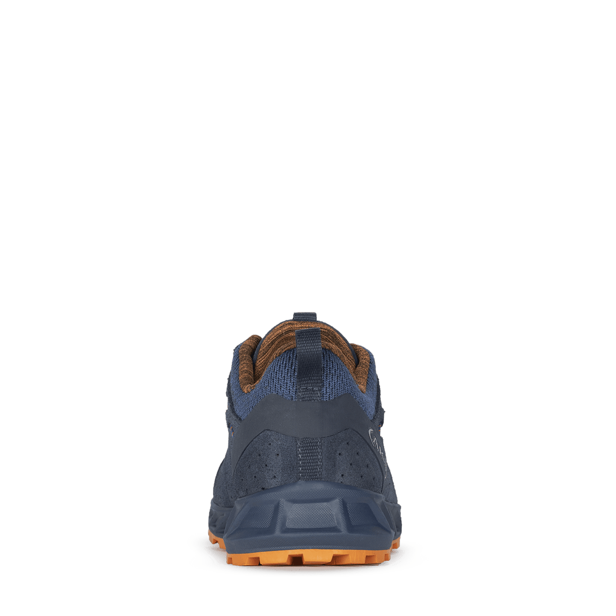 RAPID EVO GTX