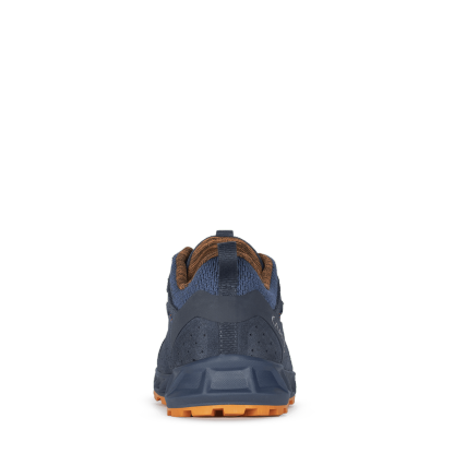 RAPID EVO GTX