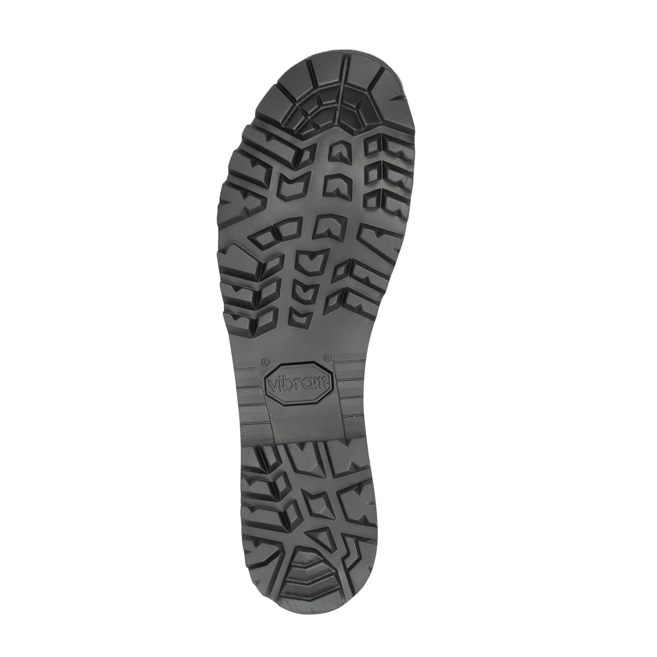 LA LOTTA DEL PELLEGRINO GTX