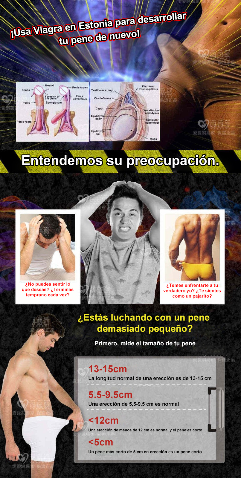 1728463431601938.jpg 4.jpg