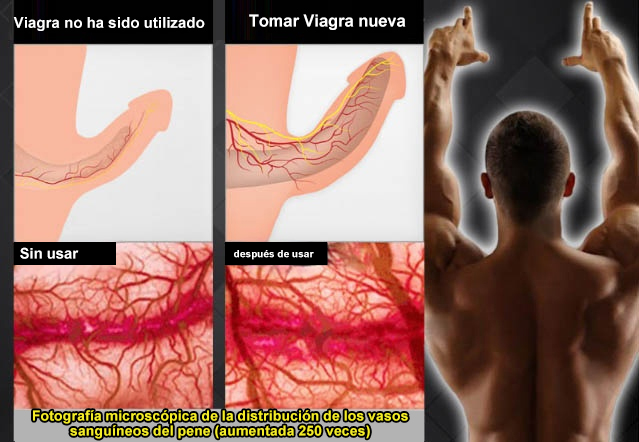 1728463418161648.jpg 2.jpg