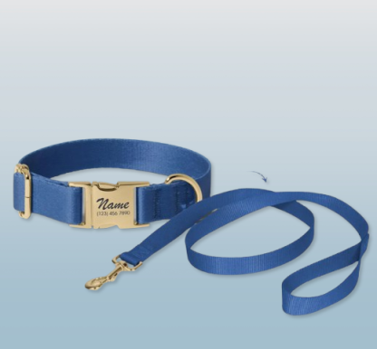 Custom Pride Dog Collar - Rainbow Engraved Pet Accessory with Name - Pride Collar