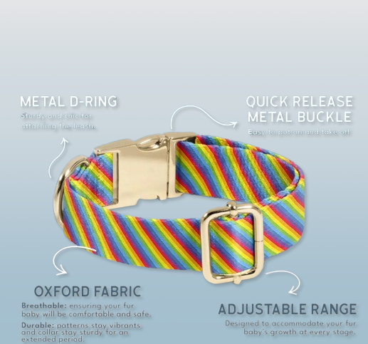 Custom Pride Dog Collar - Rainbow Engraved Pet Accessory with Name - Pride Collar