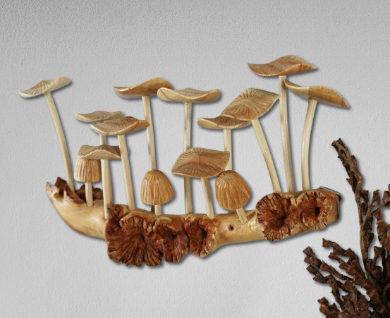 Handmade Wooden Mushroom Wall Art - Rustic Hanging Sculpture & Home Decor - Unique Gift for Sister, Nature Lovers.