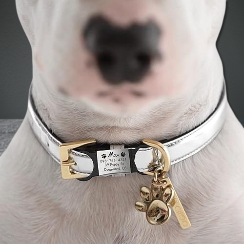Custom Engraved Stainless Steel & Silicone Pet ID Tags - Slide-On Pet Collar Charms for Cat Dog Anti-Lost, Elegant Pet Safety Accessories.