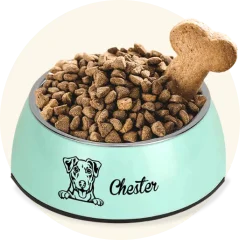 For Pet Lovers