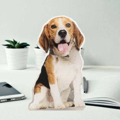 Customizable Pet Bobblehead Stand – Acrylic Car Decor for Animal Lovers