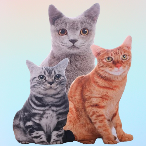 Ugly Cat & Dog Pillow – Custom Funny Pet Photo Pillow for Pet Owners