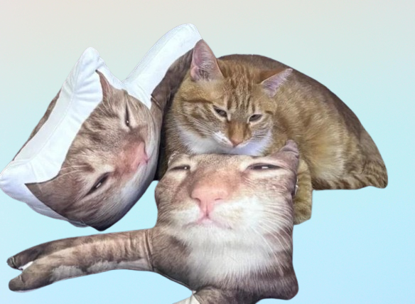 Ugly Cat & Dog Pillow – Custom Funny Pet Photo Pillow for Pet Owners