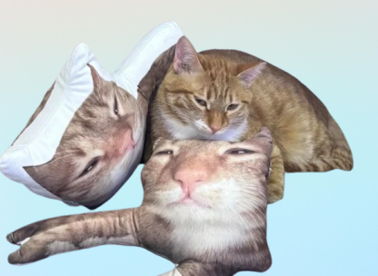 Ugly Cat & Dog Pillow – Custom Funny Pet Photo Pillow for Pet Owners
