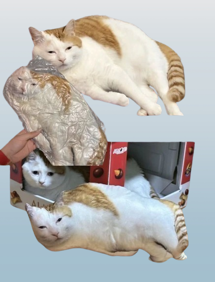Ugly Cat & Dog Pillow – Custom Funny Pet Photo Pillow for Pet Owners