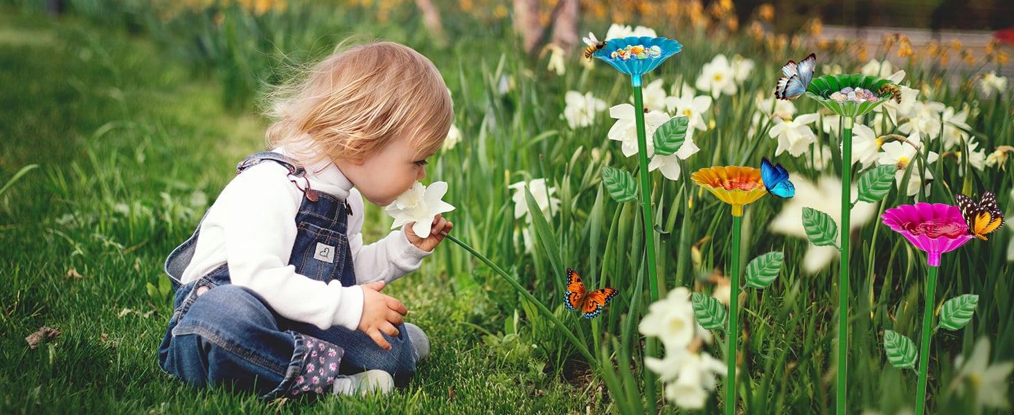 butterfly watering station