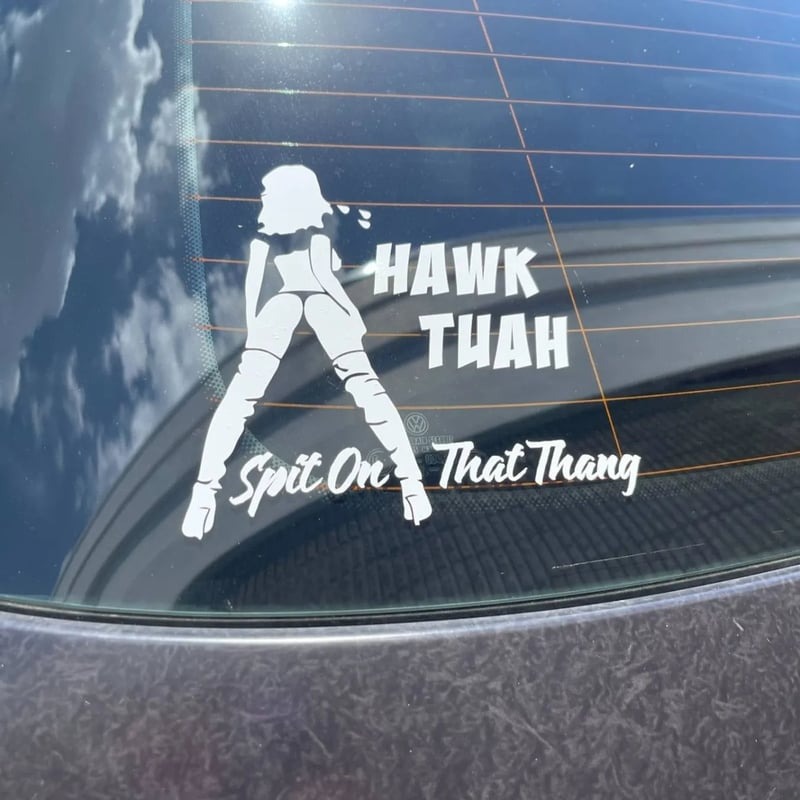 🤣Hawk Tuah Sticker | Spit on That Thang