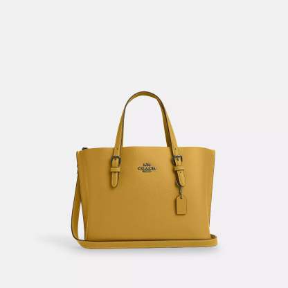 Coathtch Outlet Mollie Tote 25