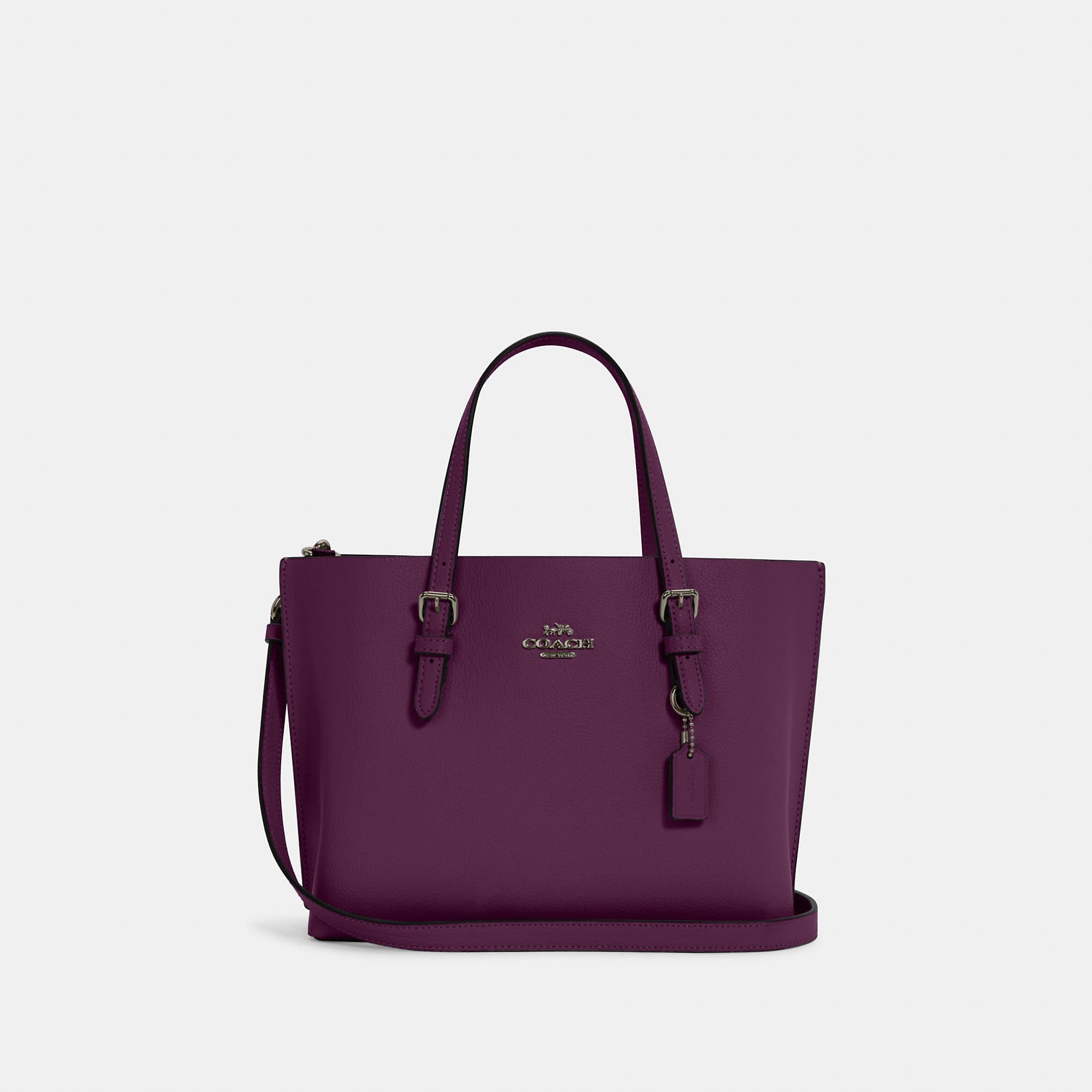 Coathtch Outlet Mollie Tote 25