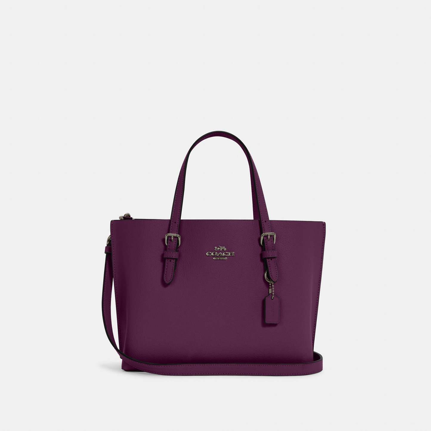 Coathtch Outlet Mollie Tote 25
